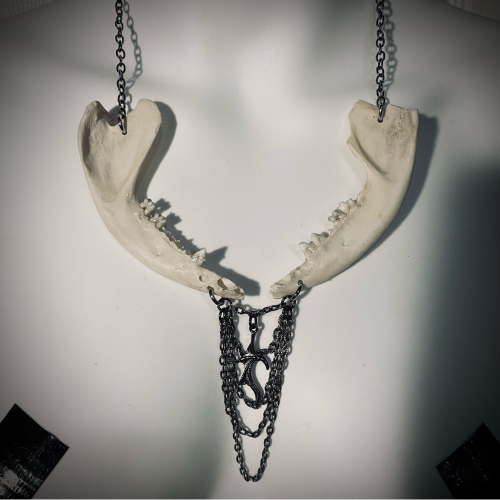 Possum Jawbone Batwing Layered Gunmetal Chain Necklace